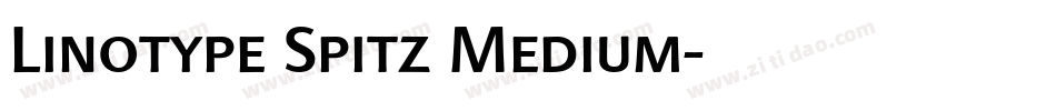 Linotype Spitz Medium字体转换